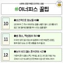 이노피스