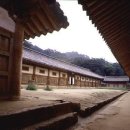 대가람주 Daum카페