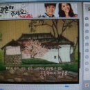 선갤러리 이미지