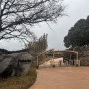 이호조아 | 🗿제주애월 파호이호이 라바필드 파크 후기 🗿🎡