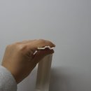 스펜디