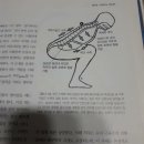 RAON GYM 이미지