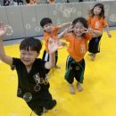 JE 양우합기도 이미지