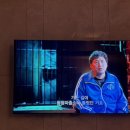 (주)키네마인 | [쥬니로그] 소원성취(?) 한 주간일상