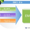하야예술어린이집 이미지