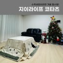 오늘의집 지이라이프 코타츠 내돈내산 한 달 사용 후기 코타츠 조립 방법 및 장단점 리뷰