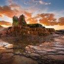 자연+인간+우연 이미지