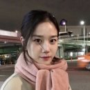 연어판다 이미지