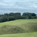 빅토리아한방병원 | 멜버른. day 3. 조이투어 그레이트오션로드 투어. 12사도 헬기투어. 호주에서 병원(UCC). 스타락타시스.