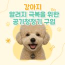[공기청정기 구매 후기] 강아지 털 걱정 없애줄 공기청정기 내 돈 내산 구입 후기 (feat. 노써치)