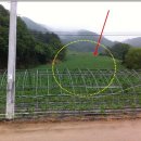 율전초교 이미지