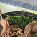 왕방리사랑채 이미지