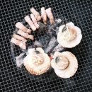 코지마트 이미지