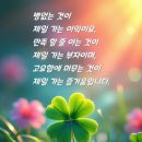 [정보] 65세 이상 장년의 걷기 운동 효과 이미지