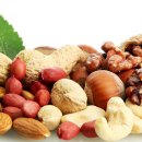 리바디짐 이미지