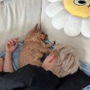 불규칙한 생활을 규칙적으로 하는 인생