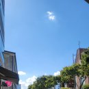 바오밥커피로스터스군자점 | [내돈내산/카페/군자역] 바오밥커피로스터스 군자점 방문후기