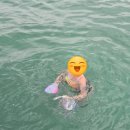 판포바람 | 5월 판포포구 방문 후기 | 물색, 다이빙, 스노쿨링, 주차, 물때 확인하는 법