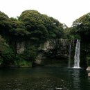 천지연폭포 이미지