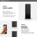 비즈게이트 Daum카페