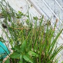 날씨누리 예보입니다 ❤️ 이미지