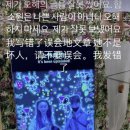 진화 인스타그램 스토리 진화 피투성이 된 얼굴 공개 함소원 폭행 주장 셀프 반박 또 불화설 총정리 이미지