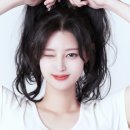베스트코리아 이미지