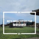 헬로남생이 [제주도/조천] 올레길 18번 코스 카페 <b>헬로</b><b>남생이</b>