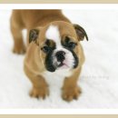 인덕원역 7번출구 인덕원성당옆 이미지