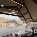 숲속의 돌담 | 청도 감성 글램핑 추천 🌿 자연 속 힐링 숙소 '돌담숲' 글램핑 솔직 후기 (가격·예약·분위기 총정리)