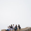 겐츠 이미지
