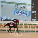 수정시흥-D-4 이미지