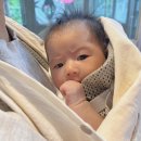니아 | 신생아유모차 추천 실버크로스 휴대용 유모차 니아 사용 후기
