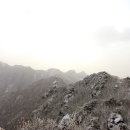 계룡산약국 이미지