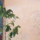 내곡동646 이미지