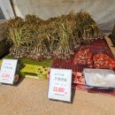 주대농장 이미지