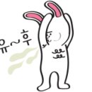 아우성생오리 이미지