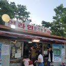 독바위공원 인라인스케이트 | 여의도 놀거리 추천, 여의도공원 인라인스케이트 후기~!