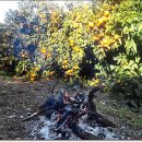 포두농장 이미지