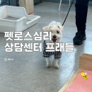 왕왕이교육센터 | 구리 갈매 펫로스심리상담센터 프래들｜실내 짖음 훈련으로 실내 짖음 줄이고 산책 훈련까지