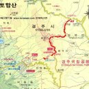 우성아파트 버스정류소 앞 이미지