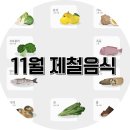 [공유] 겨울을 알리는 11월 제철음식 알아보기 이미지