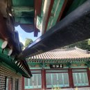 신평석화로 네이버블로그