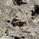 율촌산단로 이미지