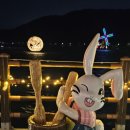 코지 테라피