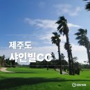 샤인빌파크 컨트리클럽 | 샤인빌cc 상세 가이드 야자수와 바다가 어우러진 이국적인 라운드