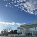 늘푸른슈퍼 | 강릉 여행코스 신상 미술관 솔올미술관 방문기 (+캐서린 번하드 전시 관람후기)