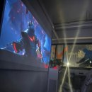 국가대표 늘푸른 경희대 태권도장 | 태권도학원 선택은 바로 여기! 국가대표 경희대안화태권도장, 주말 낭만캠핑 현장으로 따라 오시죠!