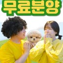 대구강아지분양 매력에 홀린 이곳