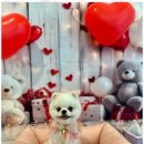 폴링인독 이미지